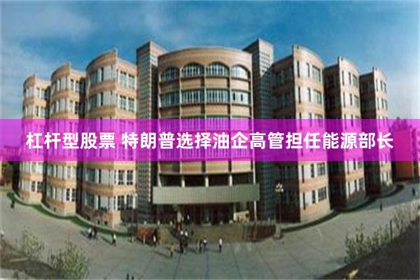 杠杆型股票 特朗普选择油企高管担任能源部长