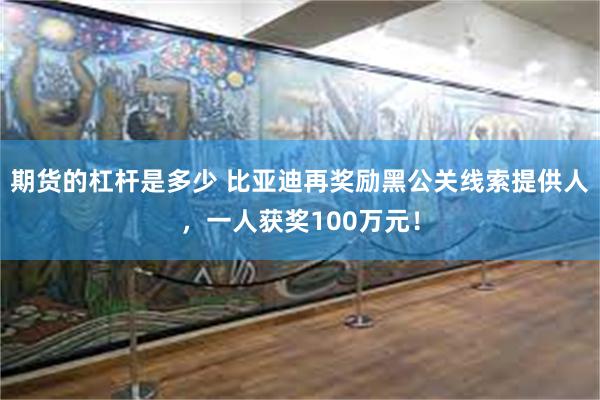 期货的杠杆是多少 比亚迪再奖励黑公关线索提供人，一人获奖100万元！