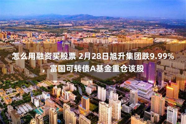 怎么用融资买股票 2月28日旭升集团跌9.99%，富国可转债A基金重仓该股
