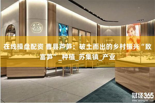 在线操盘配资 曹县芦笋：破土而出的乡村振兴“致富笋”_种植_苏集镇_产业