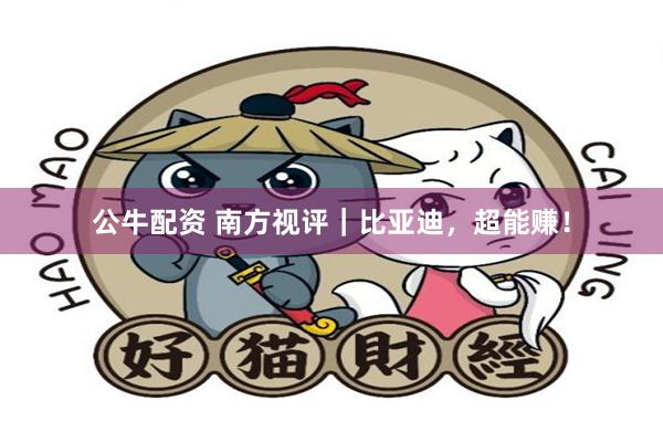 公牛配资 南方视评｜比亚迪，超能赚！