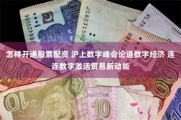 怎样开通股票配资 沪上数字峰会论道数字经济 连连数字激活贸易新动能