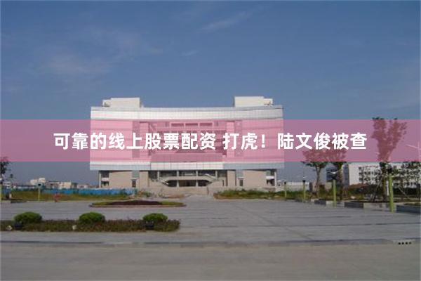 可靠的线上股票配资 打虎！陆文俊被查