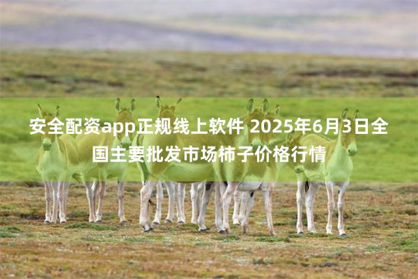 安全配资app正规线上软件 2025年6月3日全国主要批发市场柿子价格行情