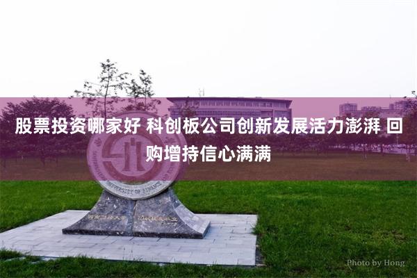 股票投资哪家好 科创板公司创新发展活力澎湃 回购增持信心满满
